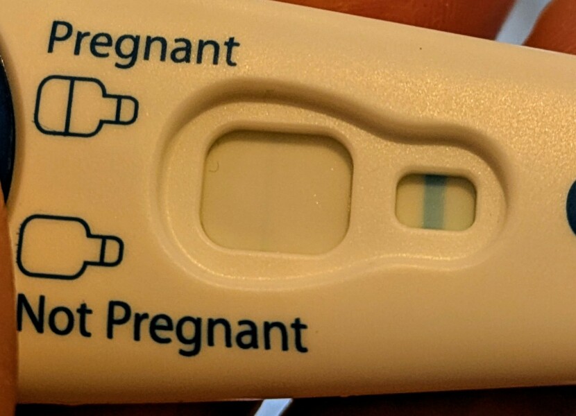 Tww June 2025🩷🩵