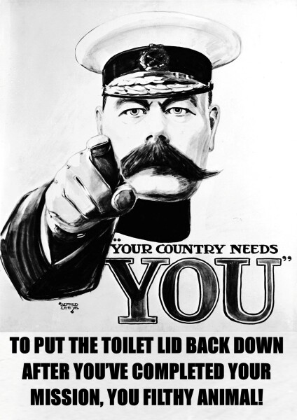 Forcing guests to close toilet lid before flushing