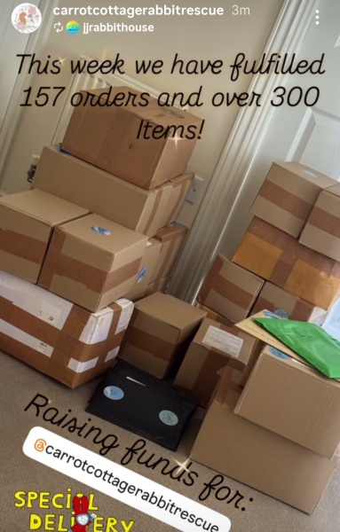 Rabbit rescue targeted by TRAs