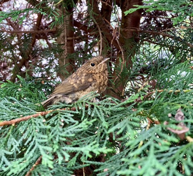 Thread 17 - TalkLair: "Okay, first of all, what's with the outfit? Live in the now, okay? You look like DeBarge."