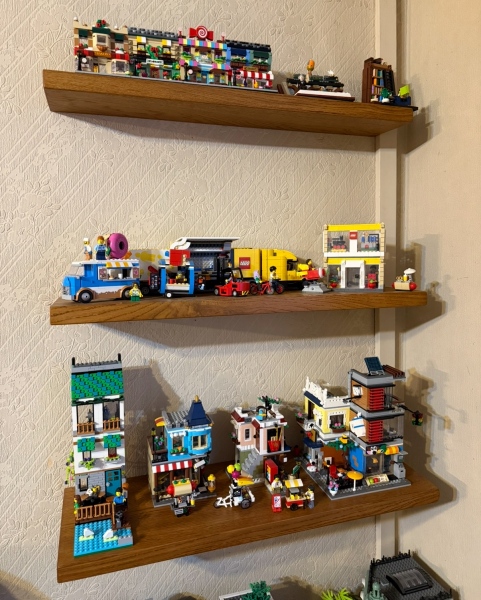 To show me your Lego collection?