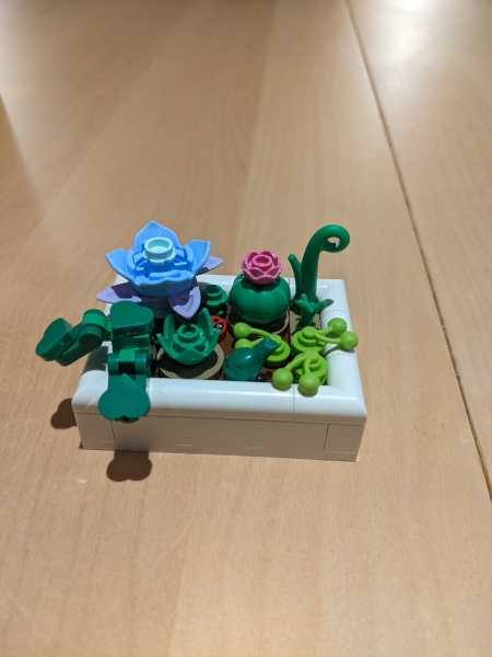 To show me your Lego collection?