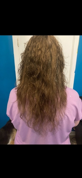Have I left it to late hair