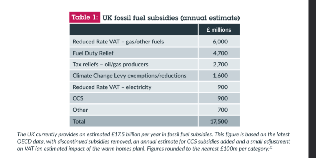 AIBU not to buy in about all of this net zero/environmentalism?