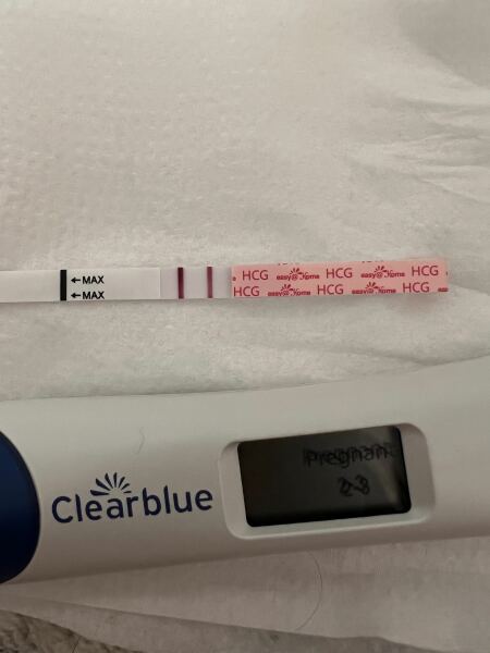 Due February 2026 ✨