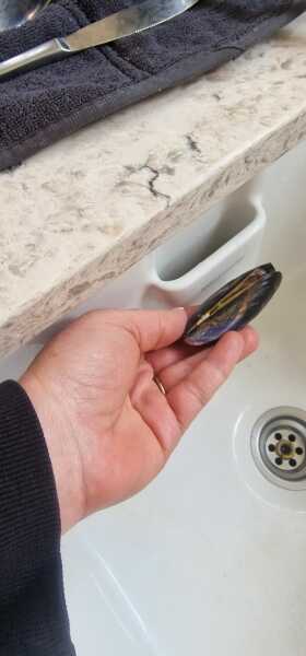 HELP! How can I get this mussel out?