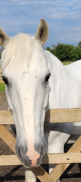 Really irritated with this girls mother.