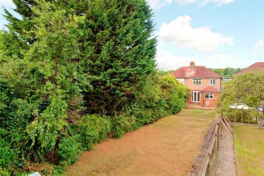 I need to cut down the Leylandii, don’t I?
