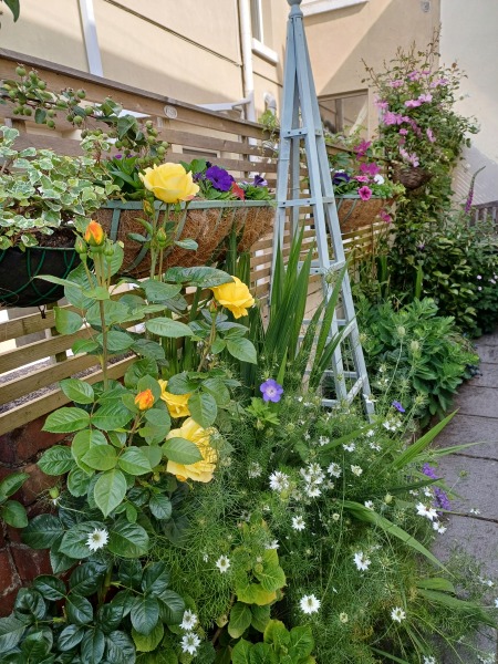 Downsizing from a rural to town house