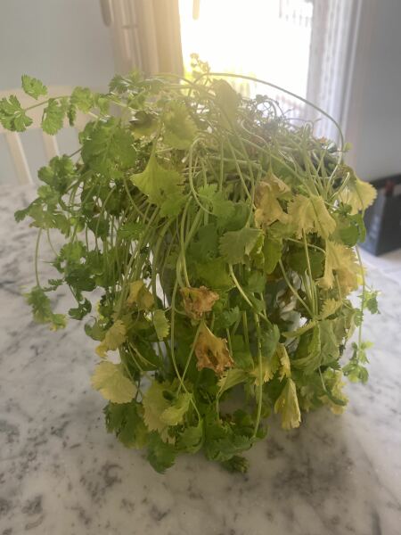 Which three herbs?