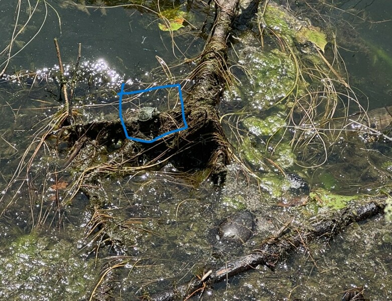 Come and tell us your dull and unexciting news 33: Calmly through the day