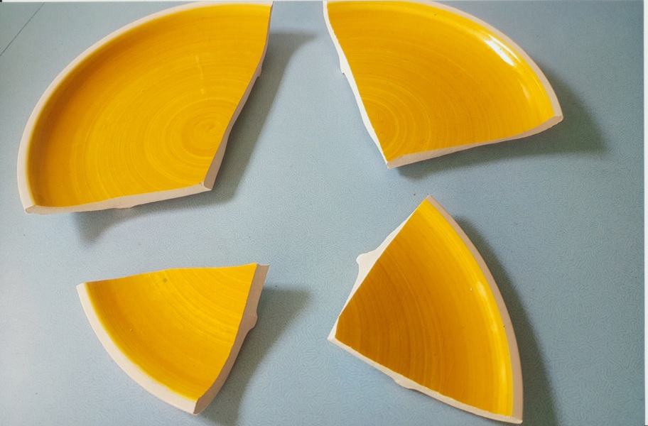 Is this broken plate a goner?