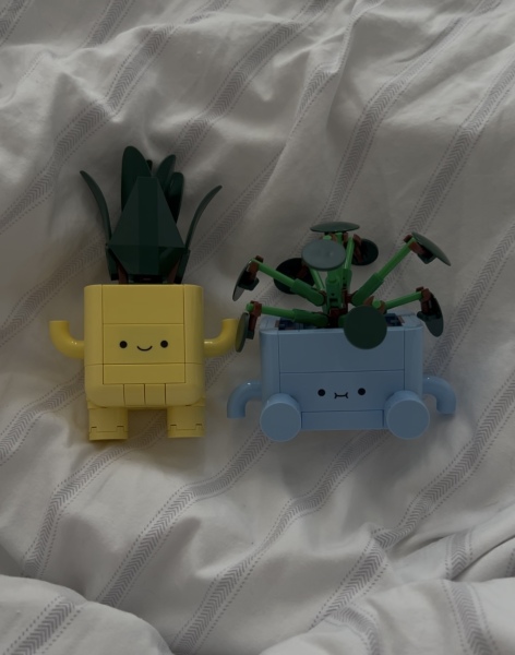 To show me your Lego collection?