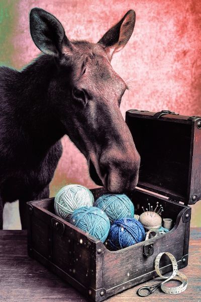 Woolly Hugs. Desperately sad news we are afraid. Making a Blanket for lovely Swashbuckled whose son has tragically died.