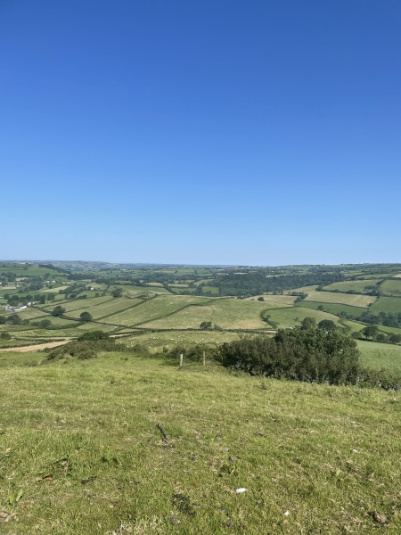 June 2025 Low Carb Bootcamp week 3