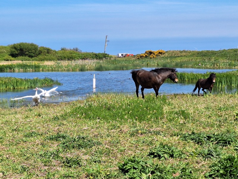 What are your favourite places to spot nature?