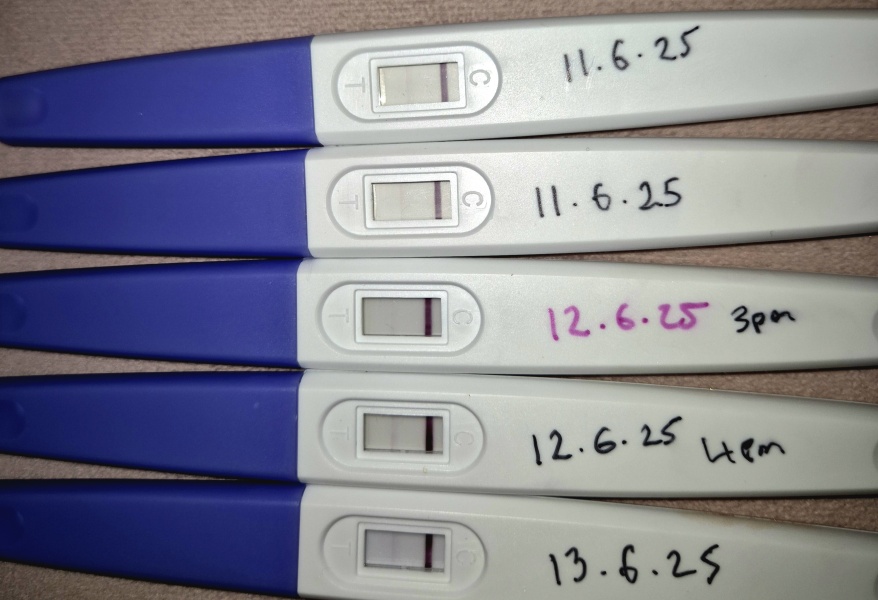 4 weeks since my period .. how are my lines looking ?
