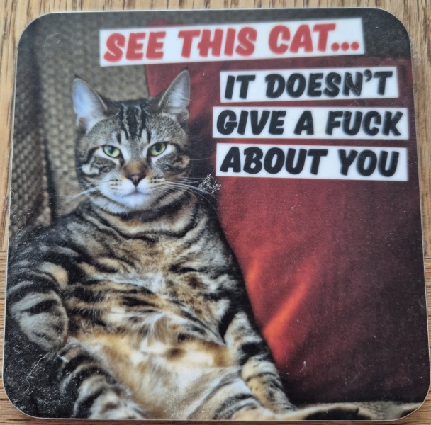 DH says cat needs to show more gratitude