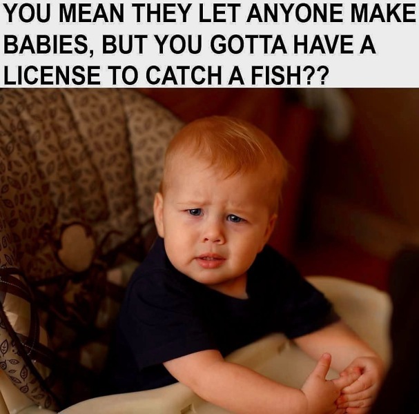 This made me howl laughing.  Anyone else heard a funny joke or seen a funny meme?