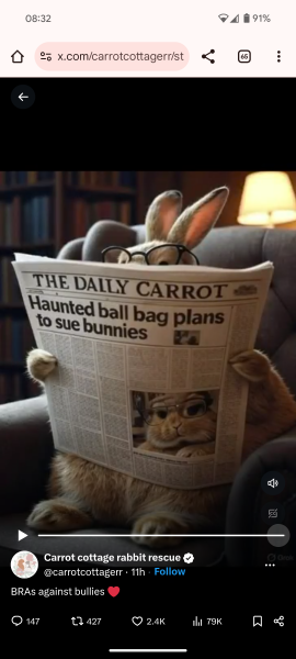 TRAs online attack on a bunny rescue