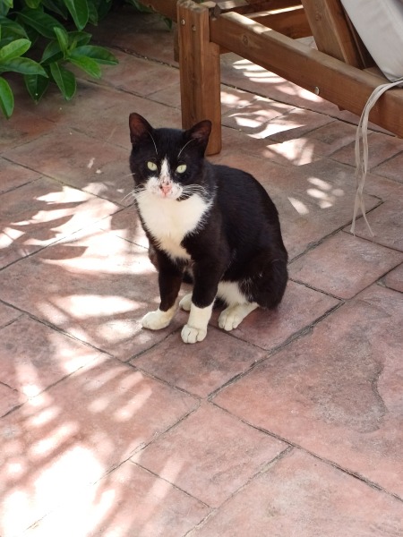 Thread 25 Starmer - Cheers for a falling out among thieves