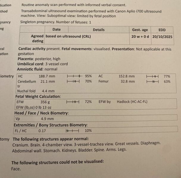 Understanding my anomaly scan report