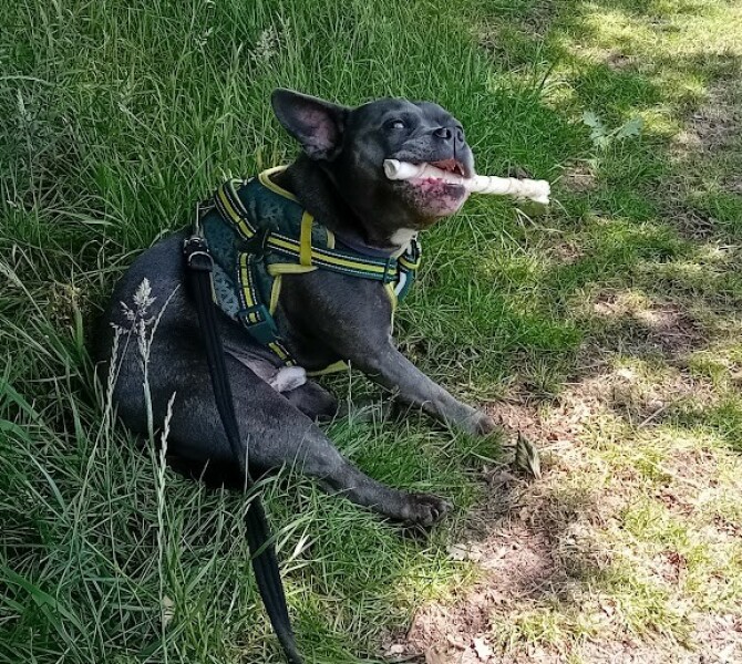 Continuing support thread for those trying to live an alcohol free life - summer 2025