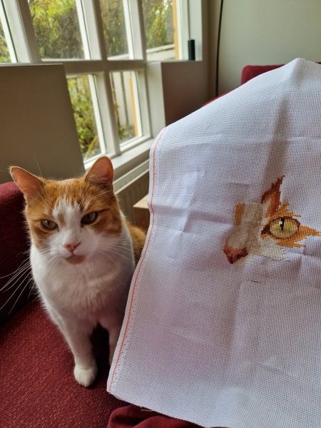 Roond and roond and up and doon - the Excellent Cats roam aboot