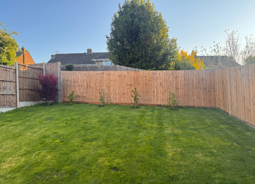 What tree to plant?