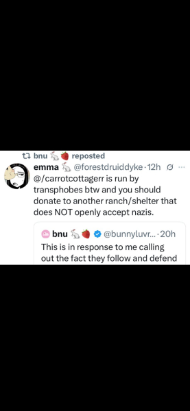 Rabbit rescue targeted by TRAs