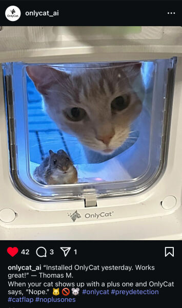 Discouraging cats from bringing in prey!