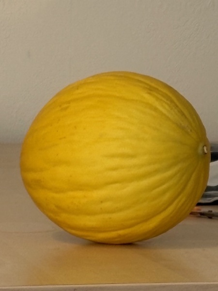 How do I tell when my melon is ripe?