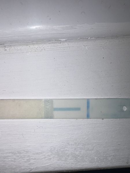 Do you see the line?!