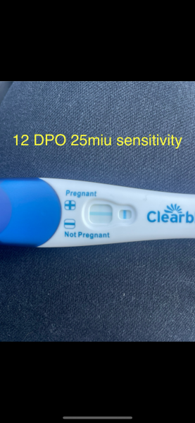 Clear Blue Plus Test Q
