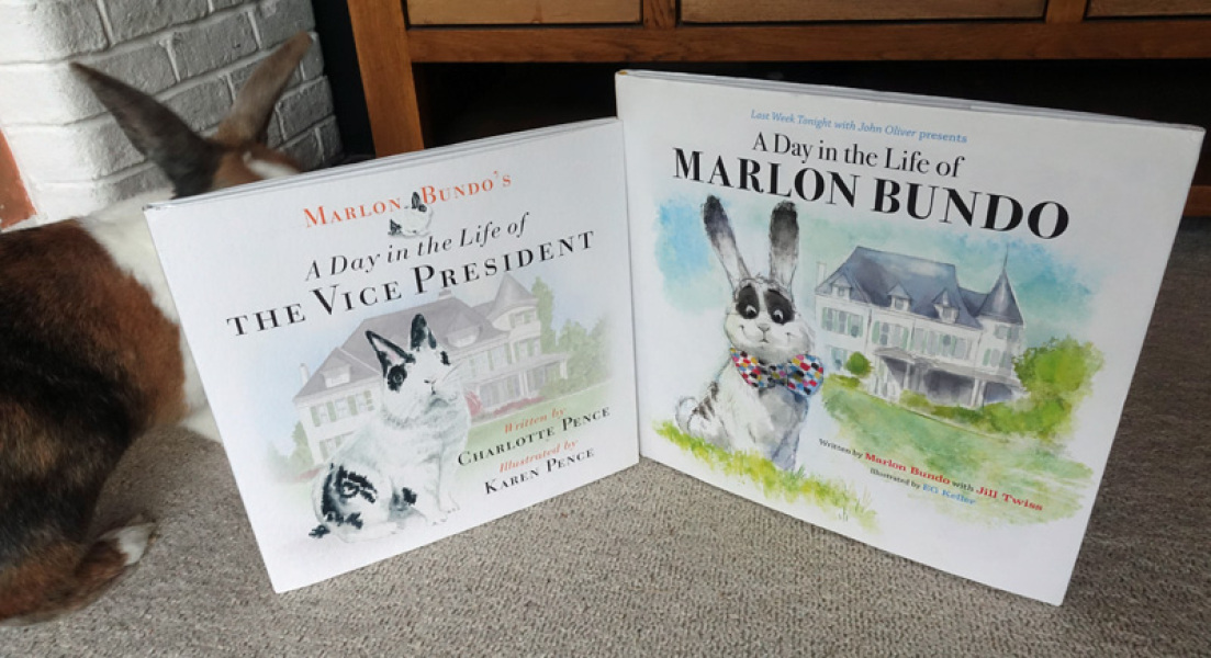 Rabbit rescue targeted by TRAs