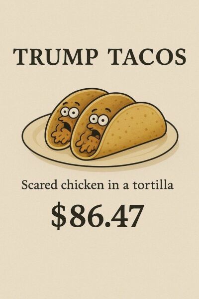 No more Musk, Melania MIA and TACOs for tea: The Idiocracy beds down - Trump thread #144