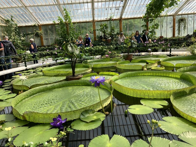 The Bluestocking Women’s Pub - Where Everybody Knows Your Username