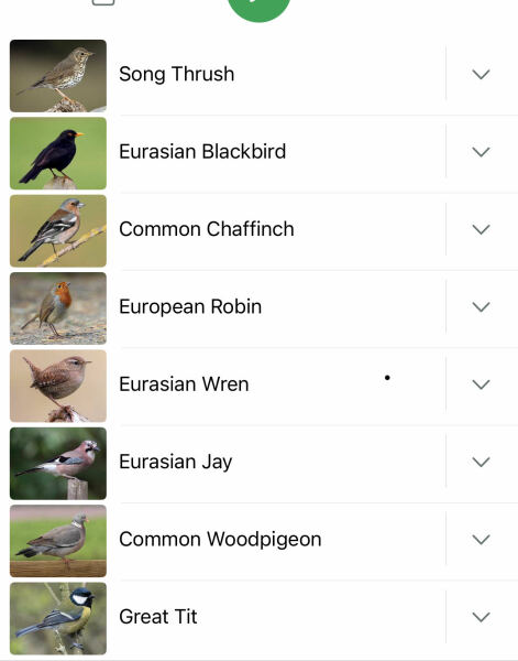 Merlin App Appreciation plus General Birding Chat