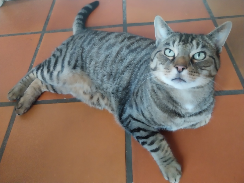 Thread 25 Starmer - Cheers for a falling out among thieves