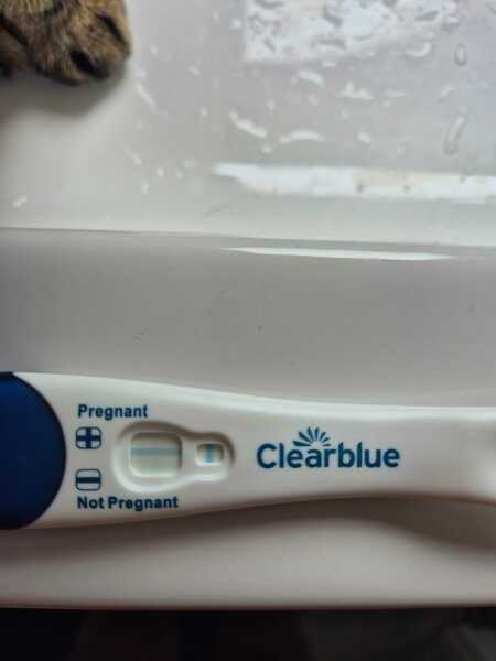 JUNE 2025 Trying To Conceive Thread