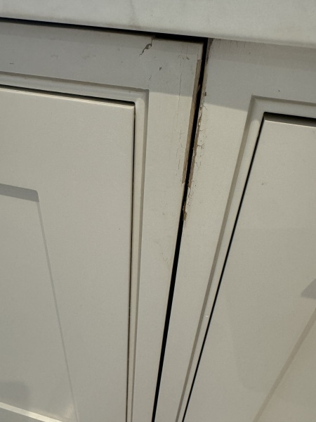 Integrated dishwasher