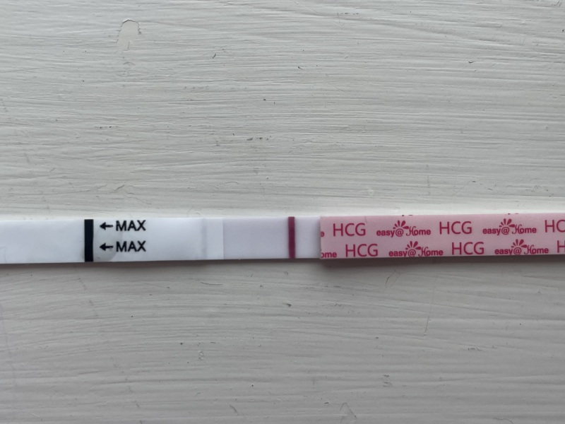 JUNE 2025 Trying To Conceive Thread