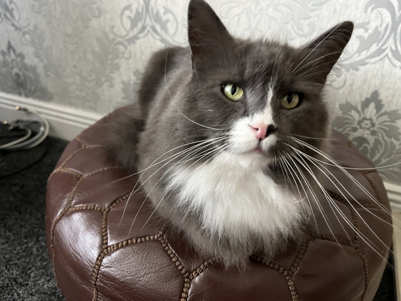 Thread 25 Starmer - Cheers for a falling out among thieves