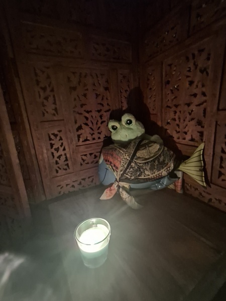 HELP! How can I get this mussel out?