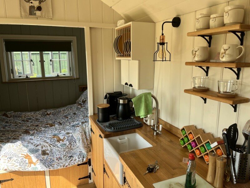 The Great Recovery part 4