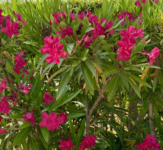 Woolly Hugs. Desperately sad news we are afraid. Making a Blanket for lovely Swashbuckled whose son has tragically died.