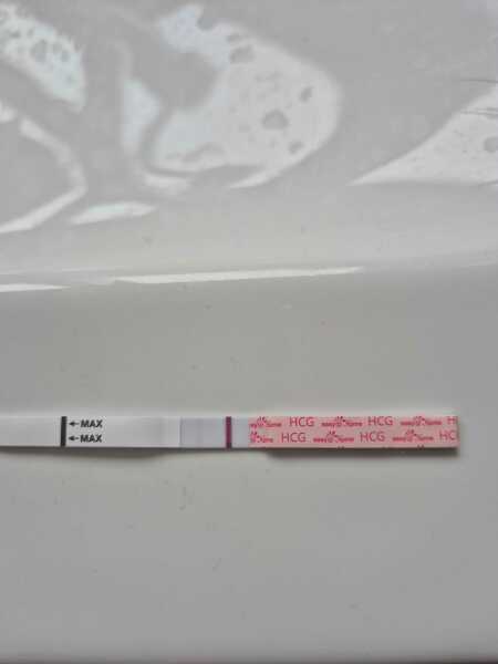 Due February 2026 ✨