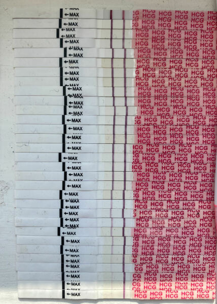 Have you had a Chemical Pregnancy before? Help me please!