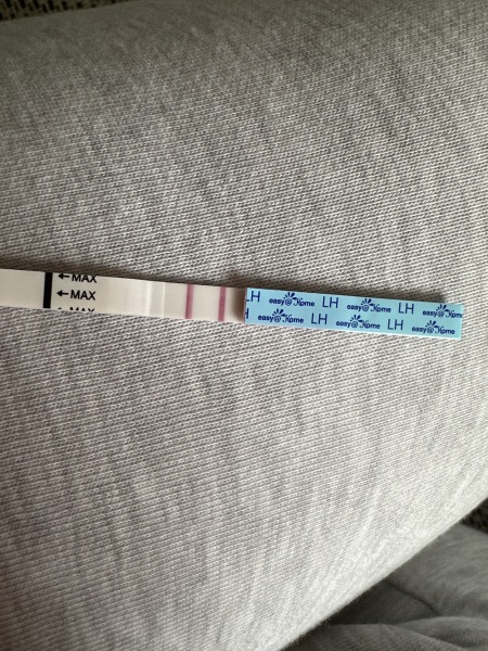 Positive ovulation test?