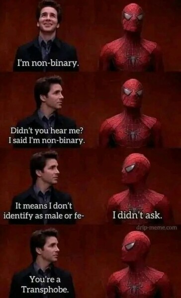 To think “non-binary” is becoming a fashion statement for some people rather than a true identity?